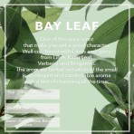 กลิ่นใบกระวาน, น้ำหอมแท้ บัตเตอร์ฟลาย ไทย เพอร์ฟูม - Bay Leaf